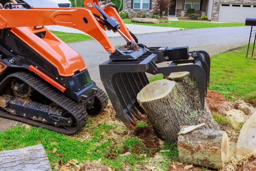 Professional Tree Company in Verona, PA Professional Tree Company in Verona, PA