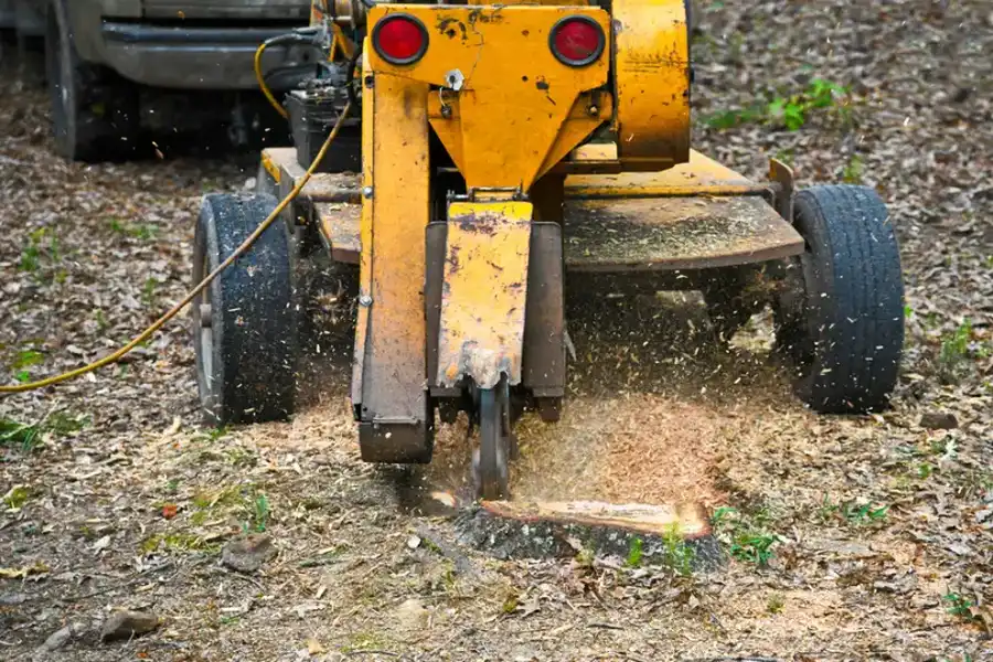 How Stump Grinding Protects Your Lawn From Root Decay in Verona, PA How Stump Grinding Protects Your Lawn From Root Decay in Verona, PA