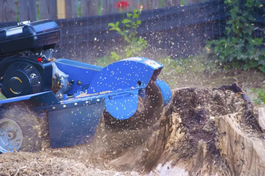 Professional Stump Grinding Service Verona, PA Professional Stump Grinding Service Verona, PA
