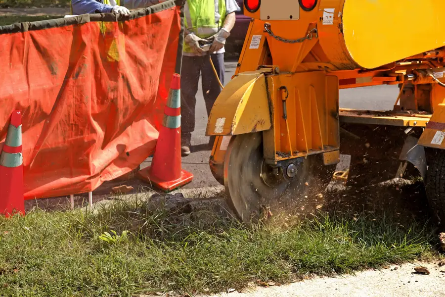 Quality Stump Grinding Service Verona, PA Quality Stump Grinding Service Verona, PA