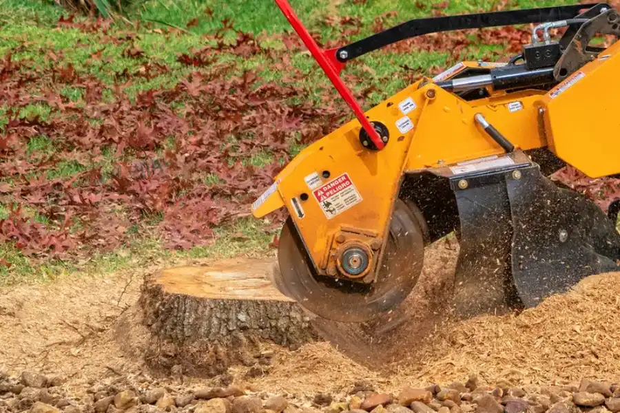 Reliable Stump Grinding Service Verona, PA Reliable Stump Grinding Service Verona, PA