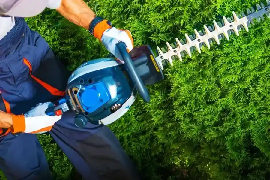 Top-rated Shrub Trimming Verona, PA Top-rated Shrub Trimming Verona, PA