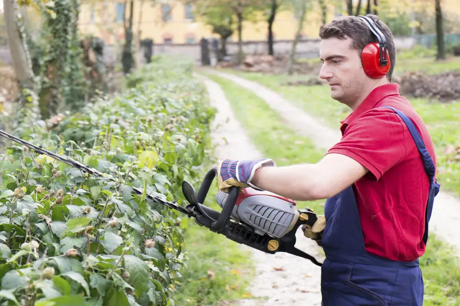 Why Proper Shrub Shaping Matters For Plant Health in Verona, PA Why Proper Shrub Shaping Matters For Plant Health in Verona, PA